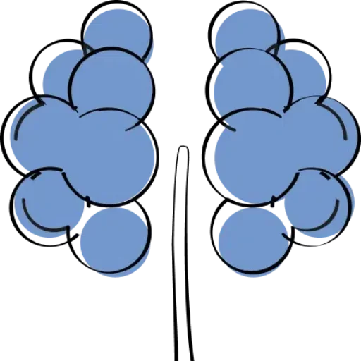 cropped-arbre.webp